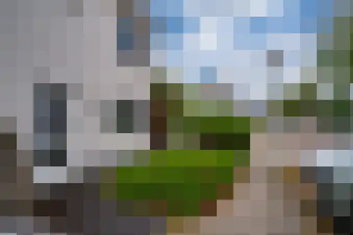 Mr. P.J. Oudsingel 31 Arnhem thumbnail 8