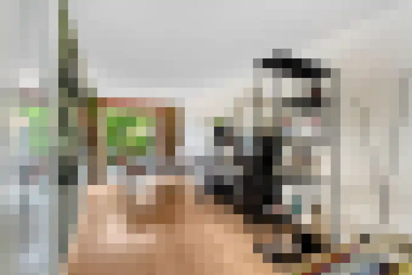 Mr. P.J. Oudsingel 32 Arnhem thumbnail 6
