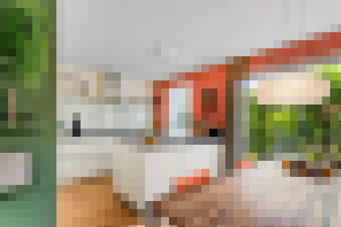 Mr. P.J. Oudsingel 32 Arnhem thumbnail 9
