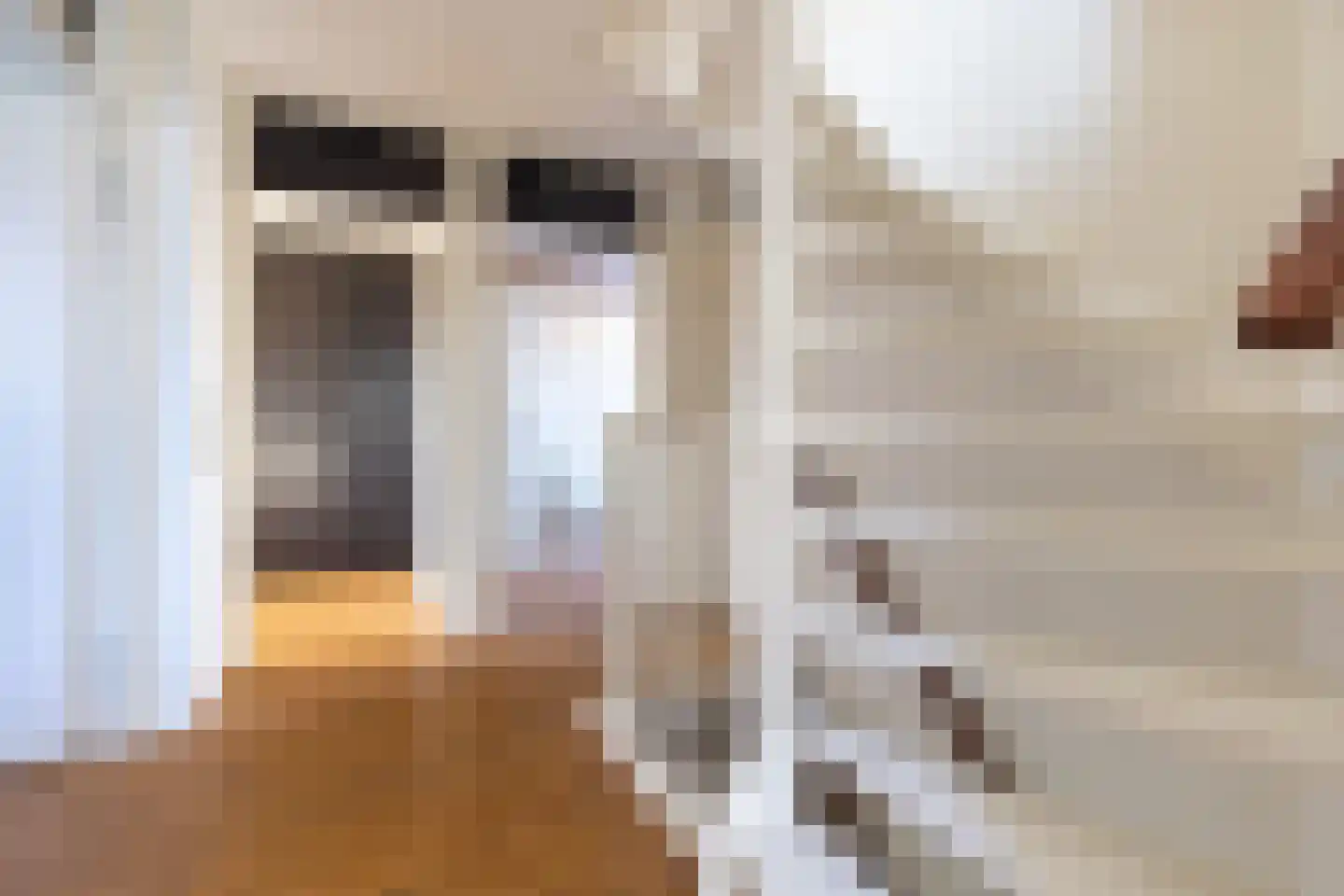 Mr. P.J. Oudsingel 34 Arnhem thumbnail 33