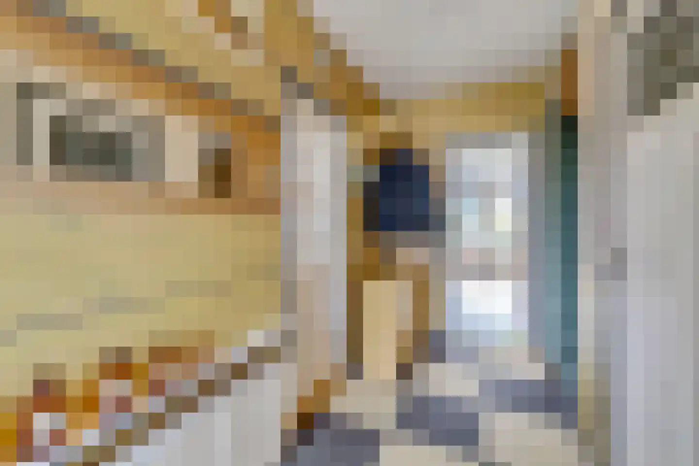 Mr P J Oudweg 1 Zuidland thumbnail 10