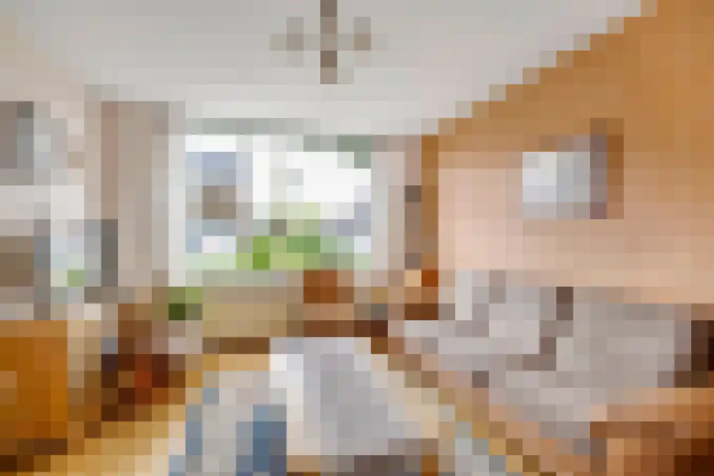 Mr P J Oudweg 1 Zuidland thumbnail 15