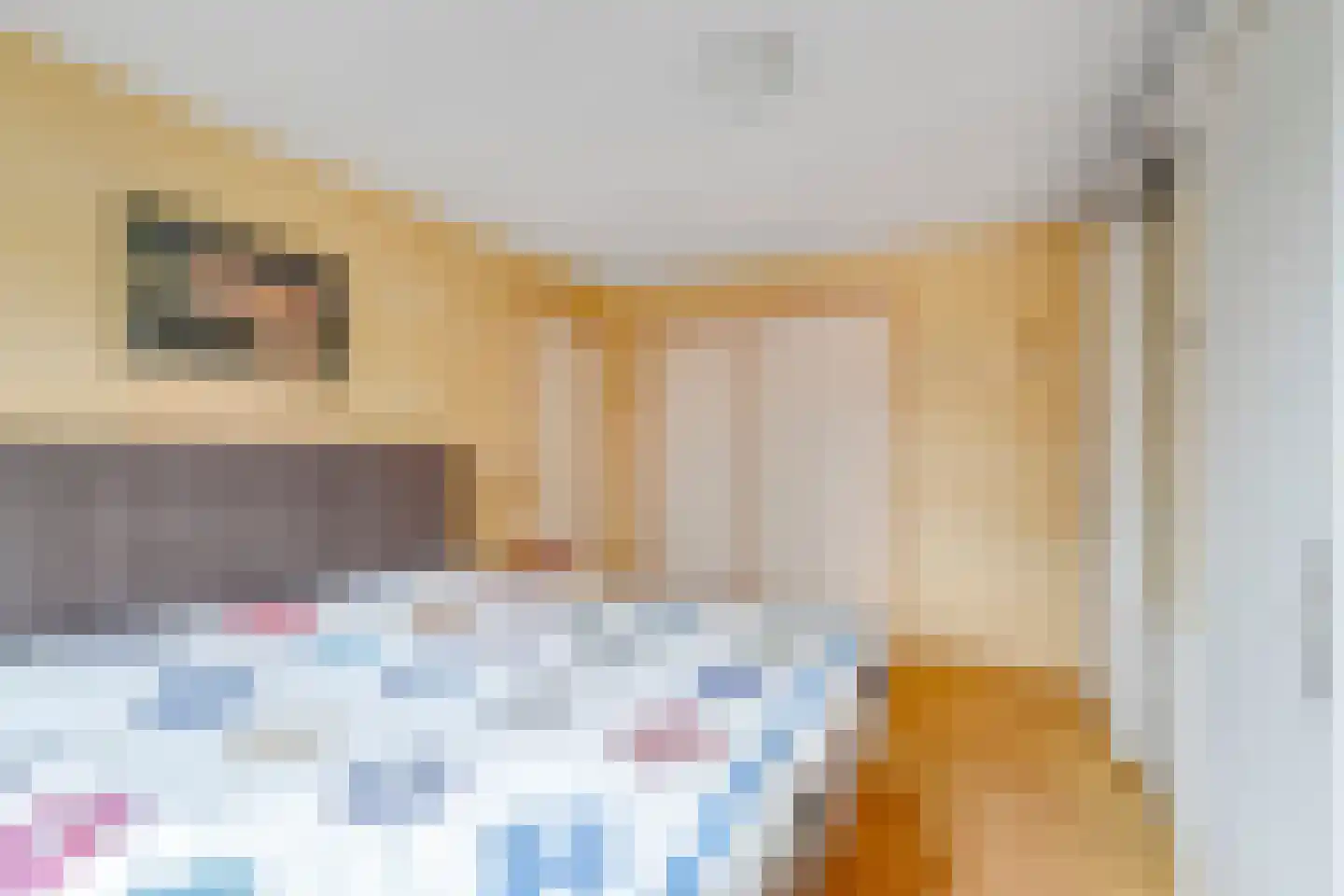Mr P J Oudweg 1 Zuidland thumbnail 21