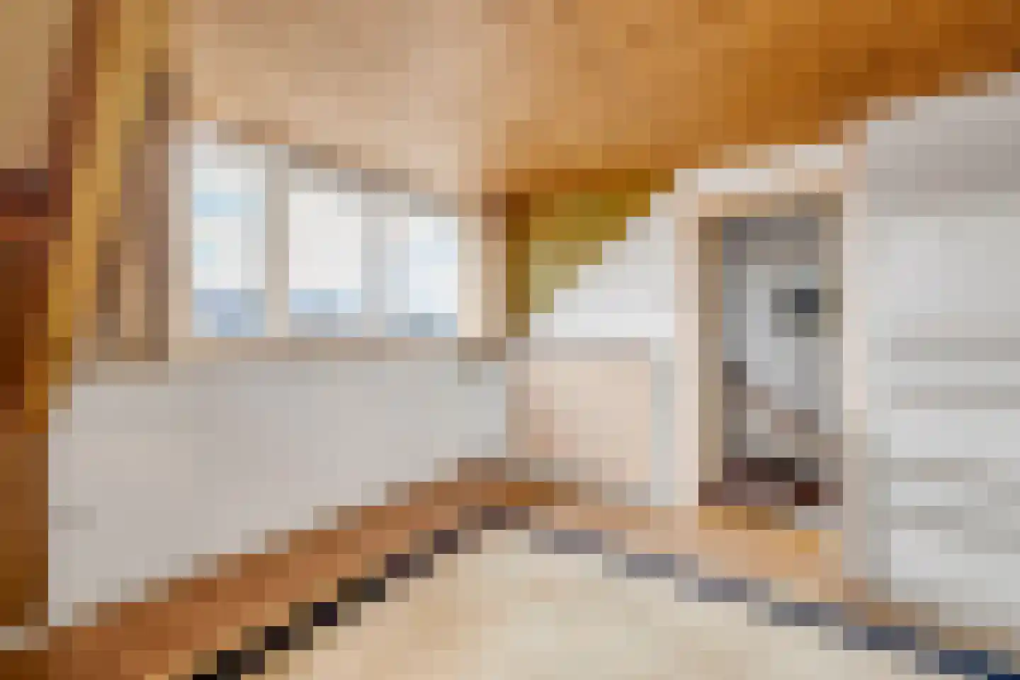 Mr P J Oudweg 1 Zuidland thumbnail 33