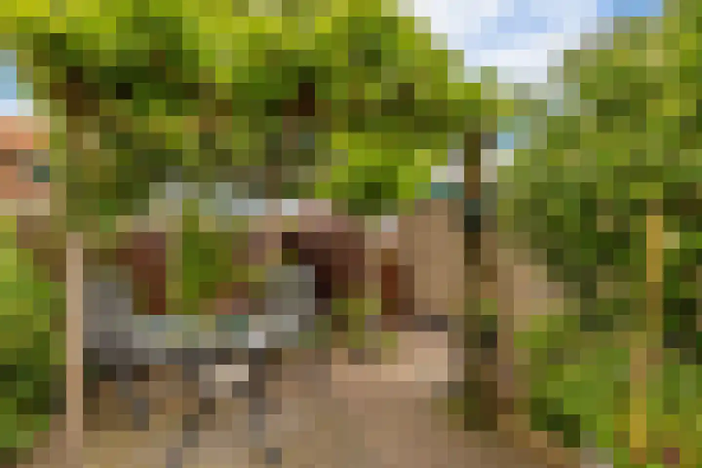 Mr P J Oudweg 1 Zuidland thumbnail 40
