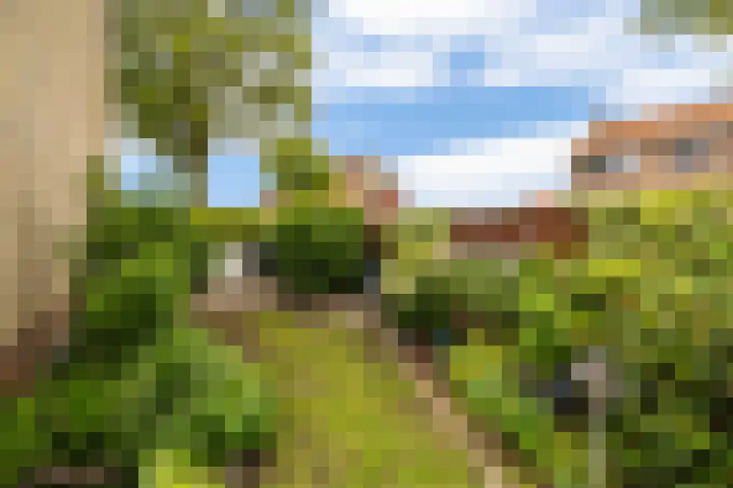 Mr P J Oudweg 1 Zuidland thumbnail 44
