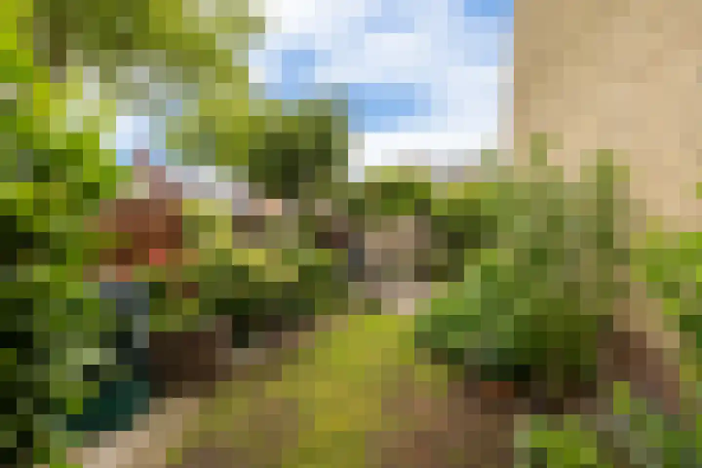 Mr P J Oudweg 1 Zuidland thumbnail 45