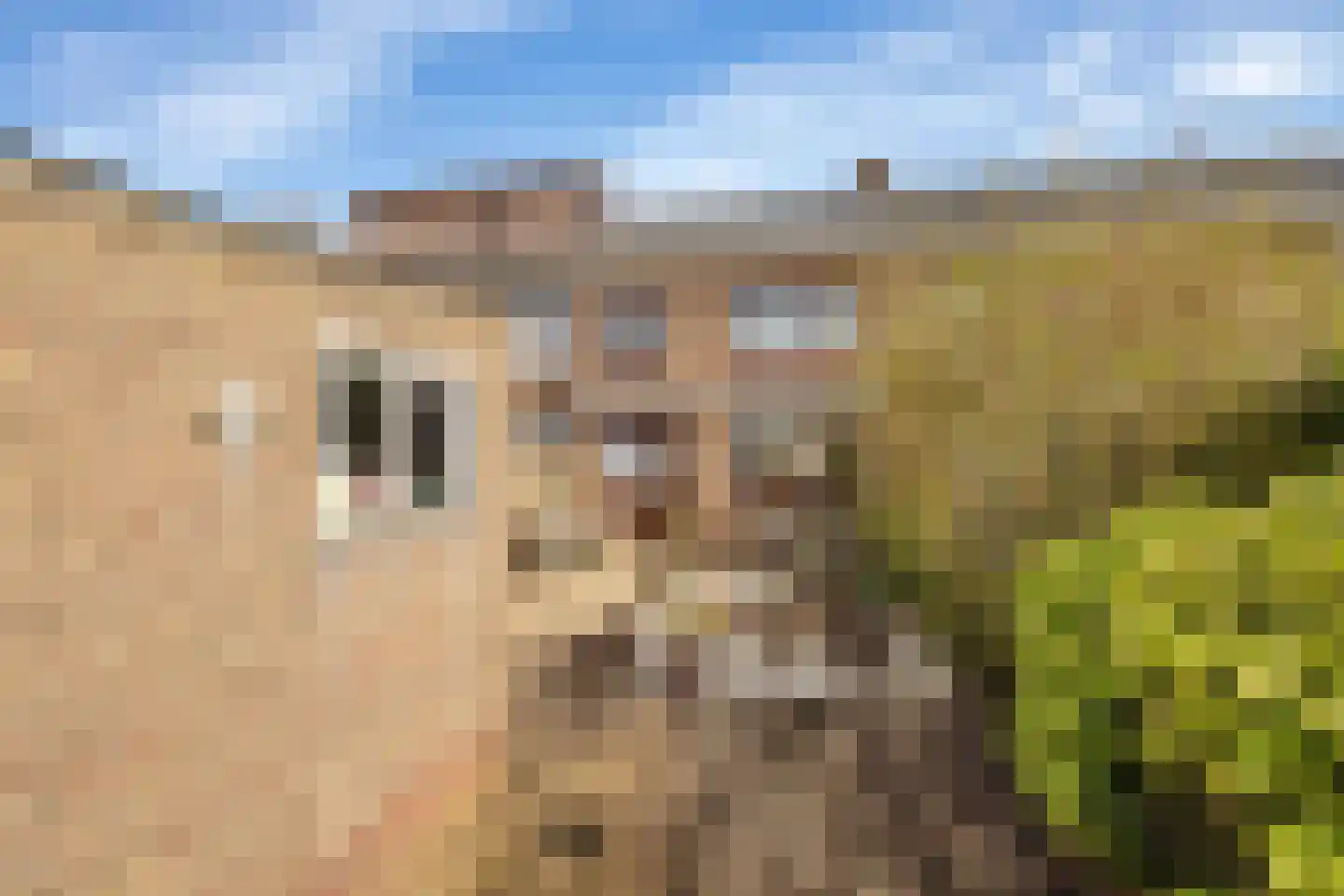 Mr P J Oudweg 19 Zuidland thumbnail 24