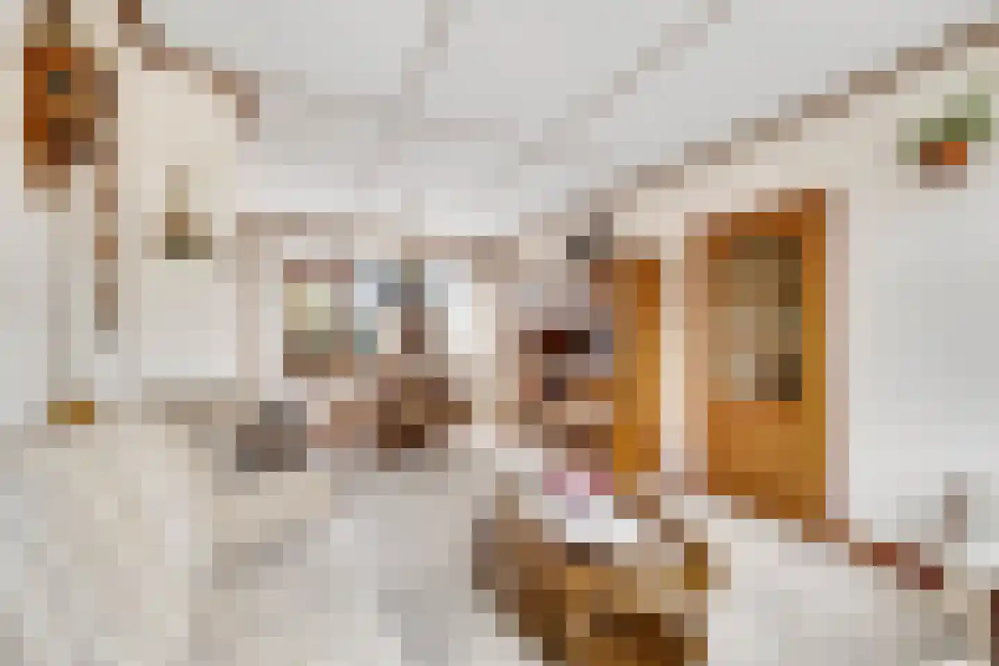 Mr P J Oudweg 19 Zuidland thumbnail 8