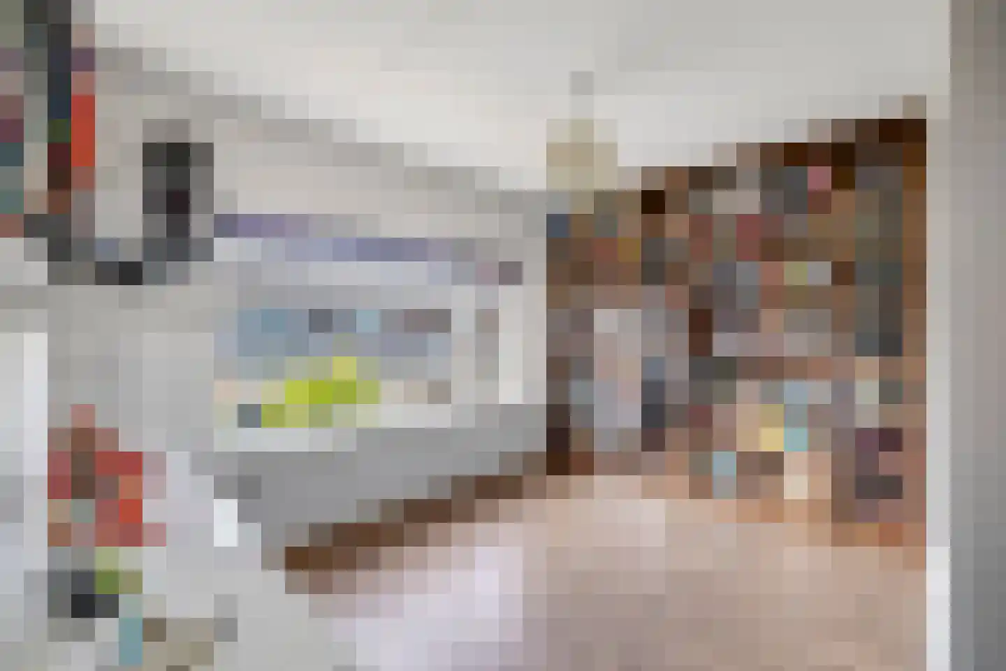 Mr P J Oudweg 21 Zuidland thumbnail 18