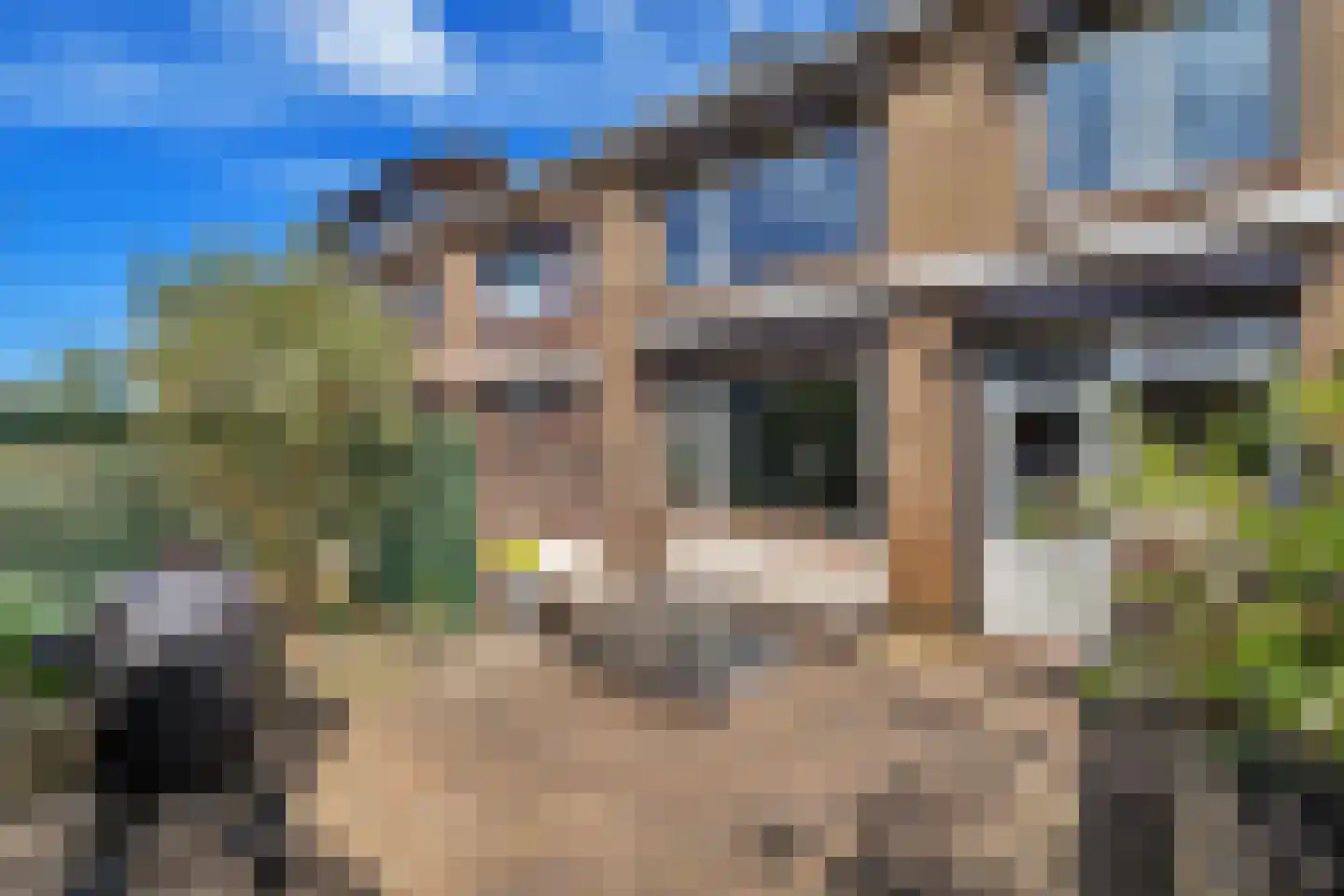 Mr P J Oudweg 21 Zuidland thumbnail 24