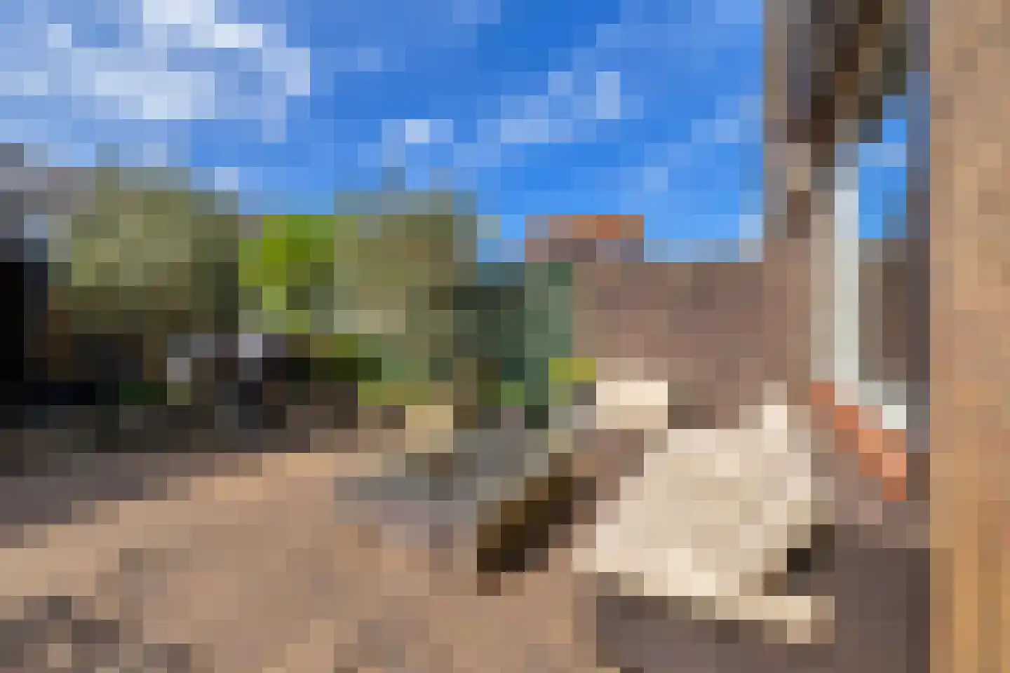 Mr P J Oudweg 21 Zuidland thumbnail 5