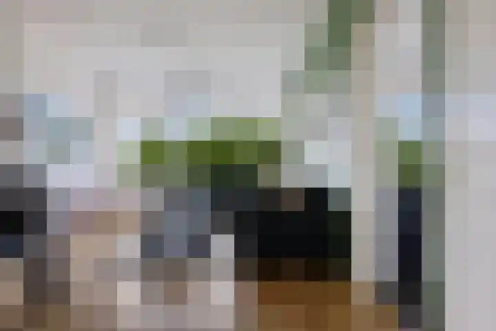 Mr. P.J. Troelstralaan 295 Assen thumbnail 10