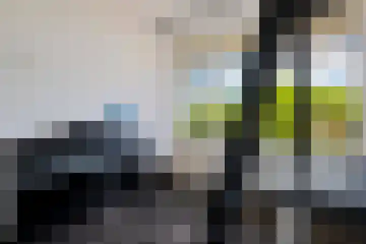 Mr. P.J. Troelstralaan 295 Assen thumbnail 25