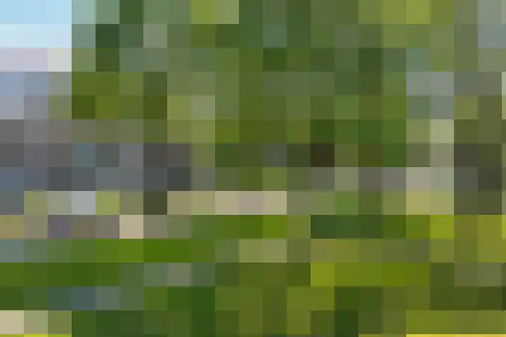 Mr. P.J. Troelstralaan 295 Assen thumbnail 34
