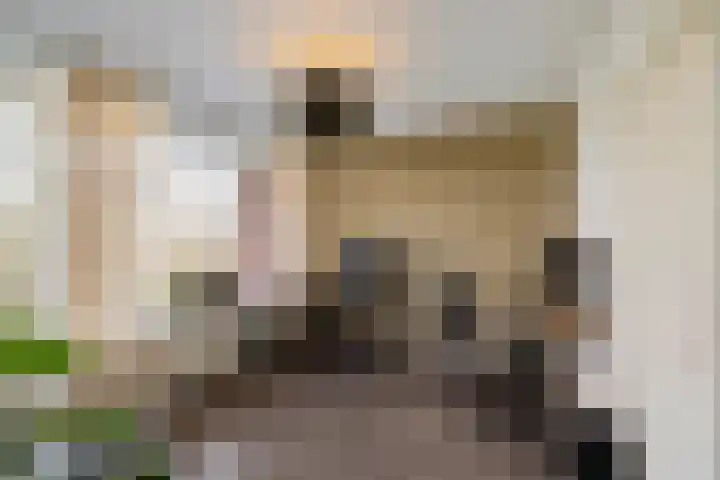 Mr. P.J. Troelstralaan 297 Assen thumbnail 22