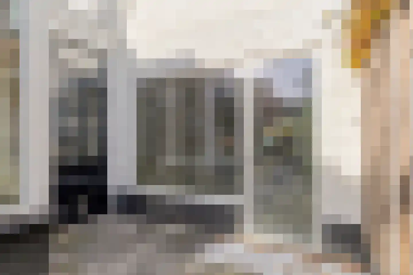 Mr. P.J. Troelstrastraat 100 Hengelo thumbnail 39