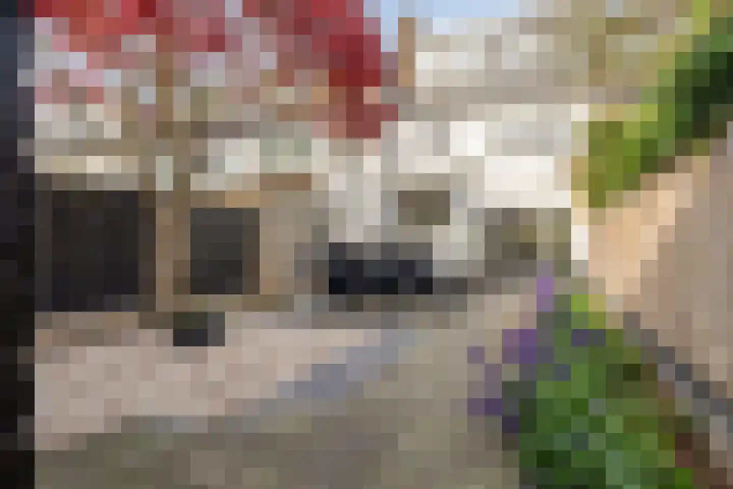 Mr. P.J. Troelstrastraat 100 Hengelo thumbnail 4