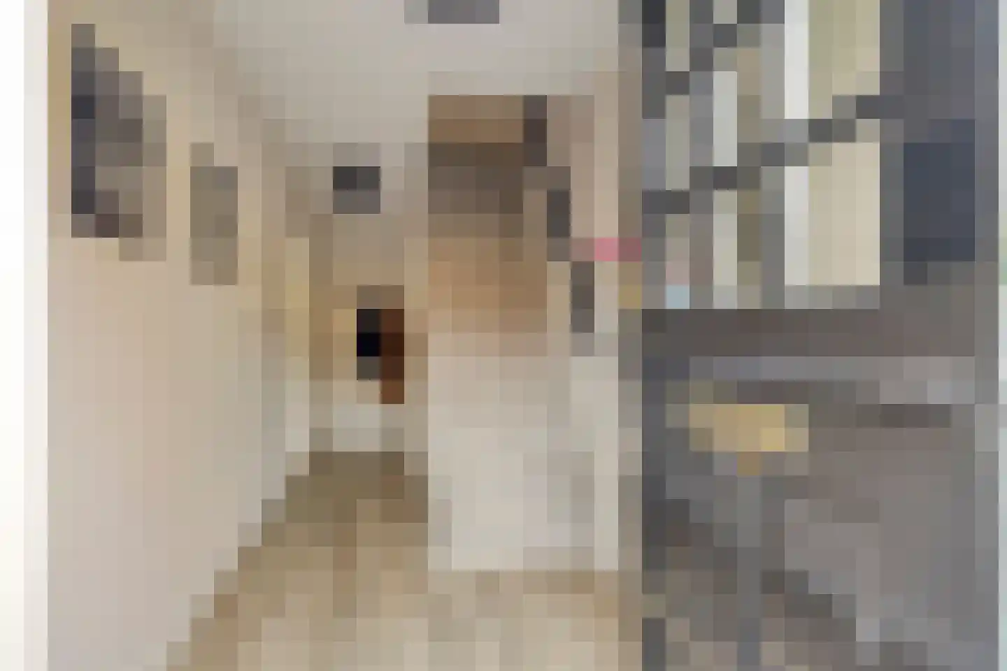 Mr. P.J. Troelstrastraat 100 Hengelo thumbnail 7