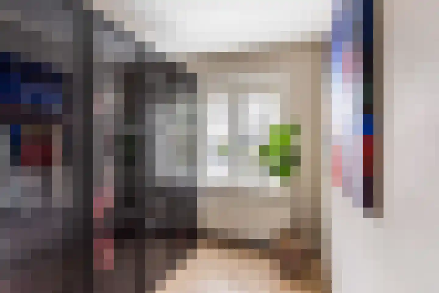 Mr. P.J. Troelstrastraat 103 Hengelo thumbnail 15