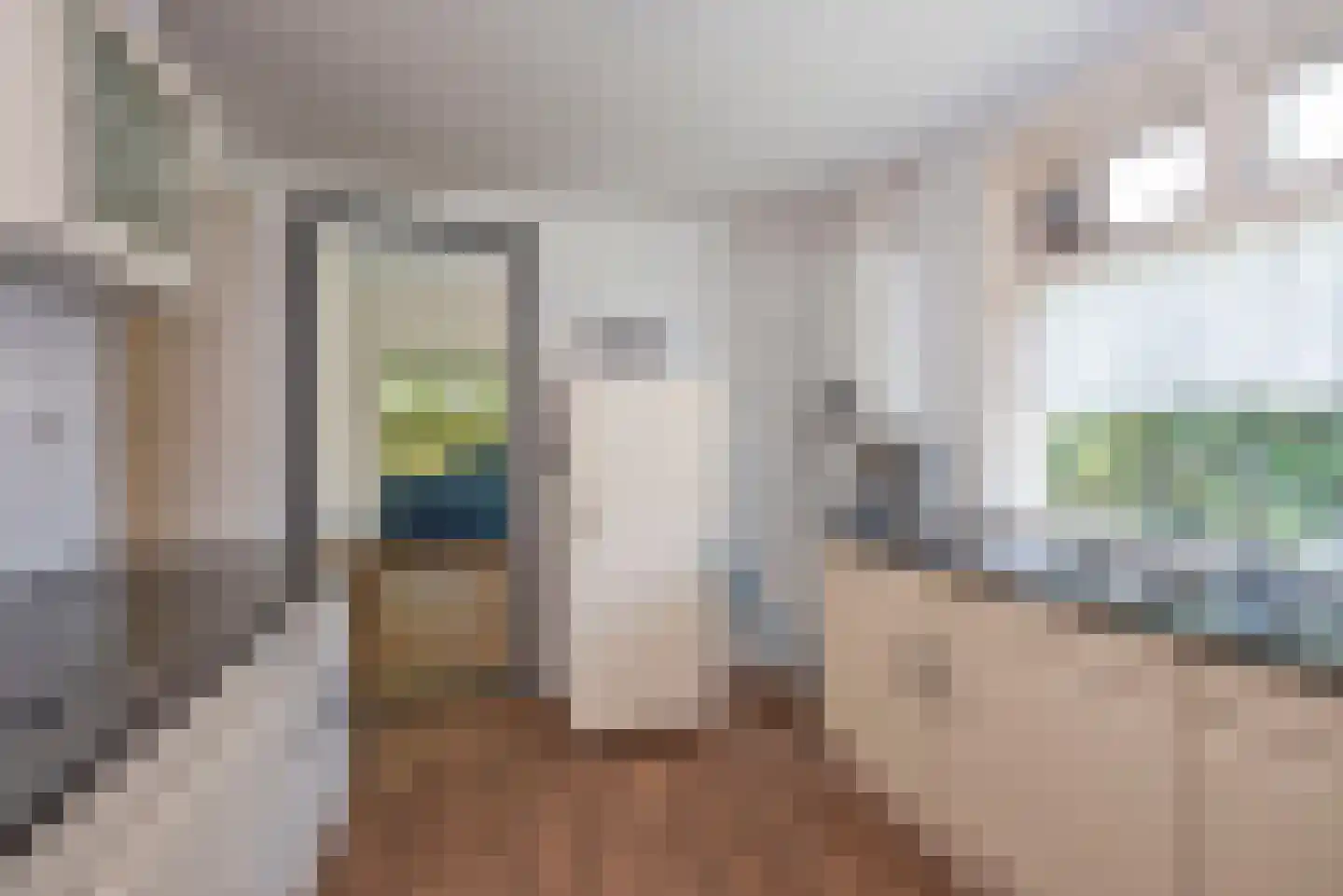 Mr. P.J. Troelstrastraat 129 Hengelo thumbnail 18