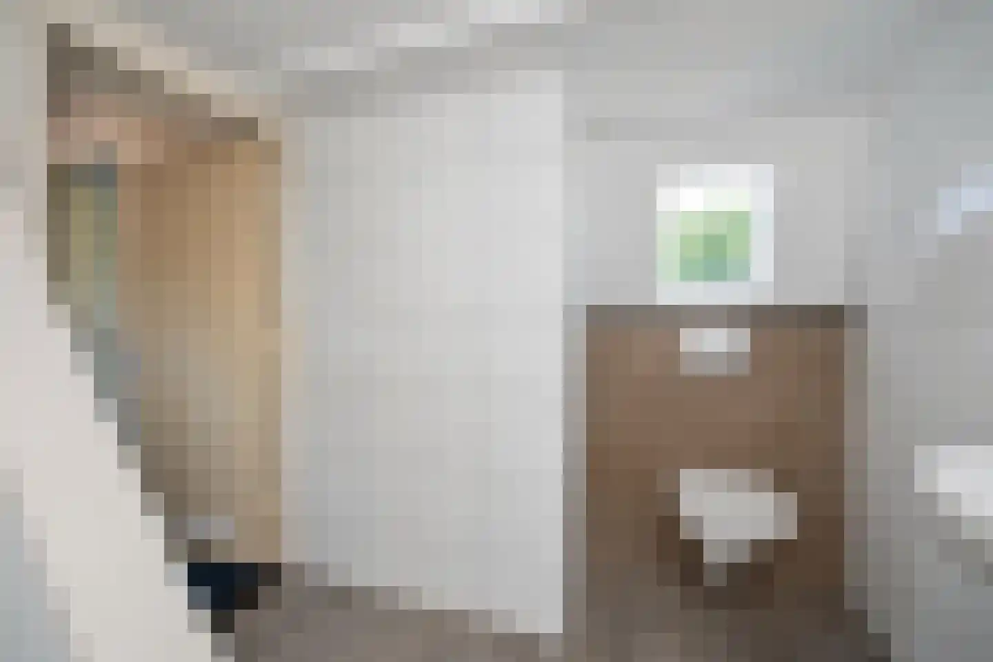 Mr. P.J. Troelstrastraat 129 Hengelo thumbnail 22