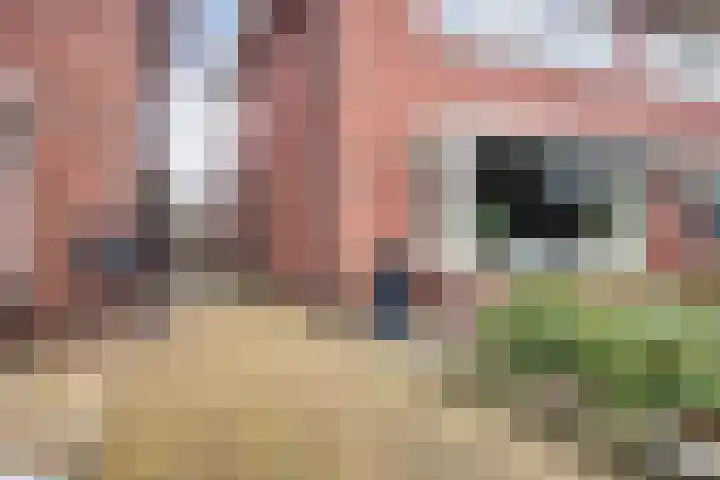 Mr. P.J. Troelstrastraat 23 Hengelo thumbnail 8
