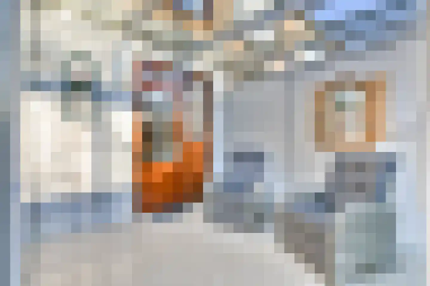 Mr P S Gerbrandystraat 14 Zuidland thumbnail 20