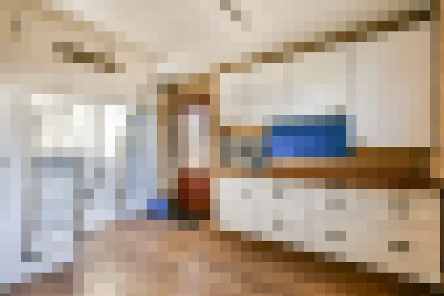 Mr P S Gerbrandystraat 14 Zuidland thumbnail 39