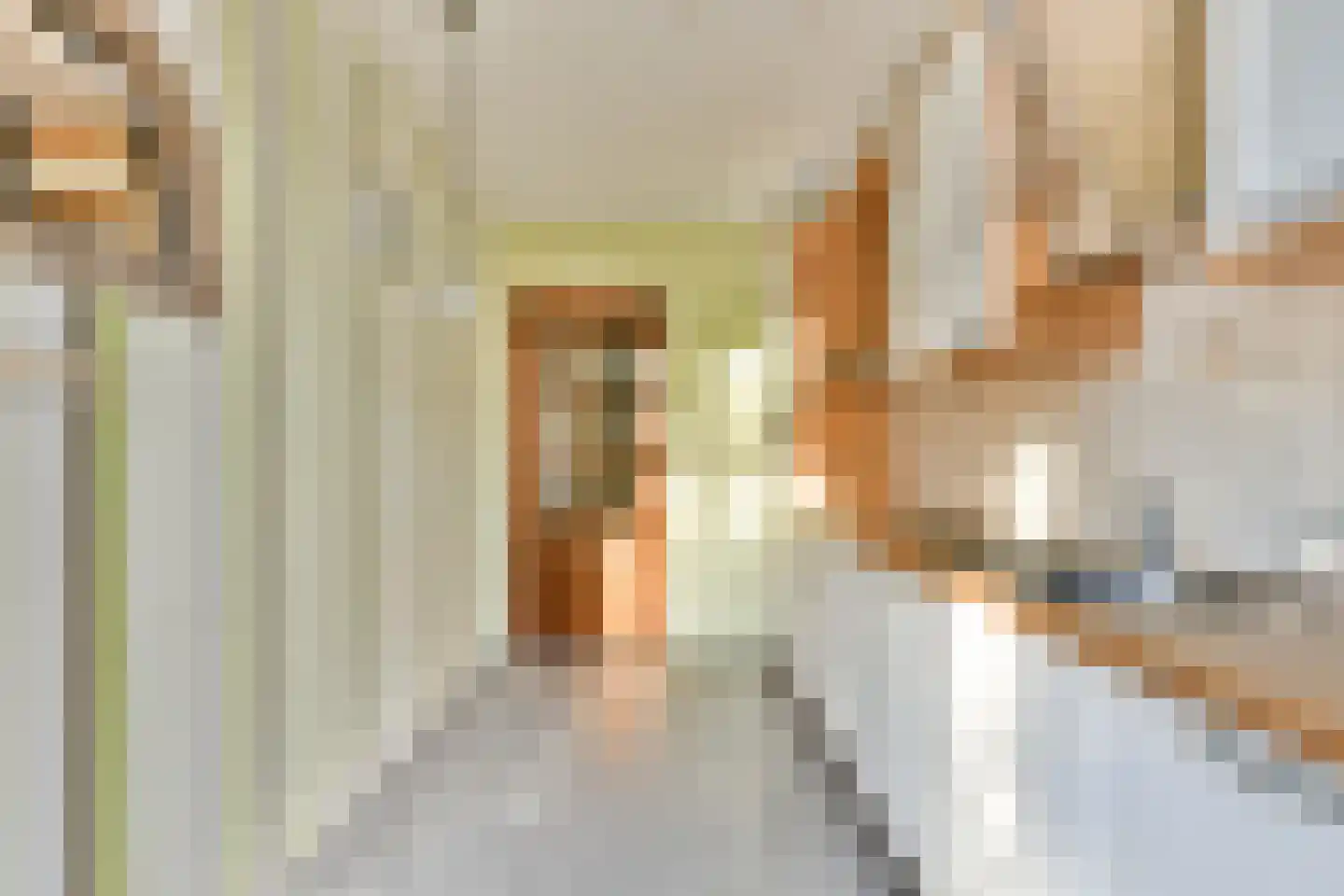 Mr P S Gerbrandystraat 14 Zuidland thumbnail 4