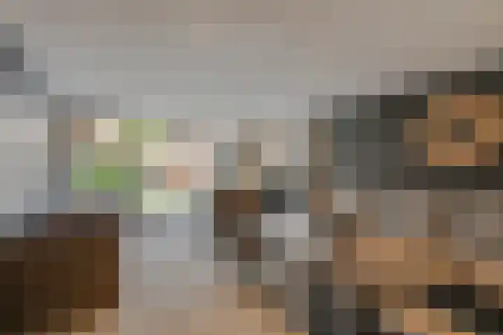 Mr. Piersonstraat 7 Ridderkerk thumbnail 21