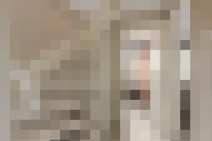 Mr. Piersonstraat 7 Ridderkerk thumbnail 25