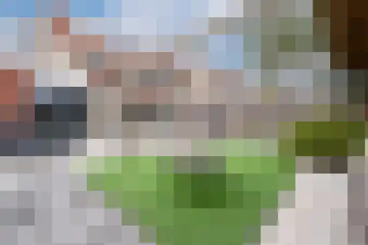 Mr.Pieter Cornelisz. Vermaatlaan 12 Poortugaal thumbnail 22