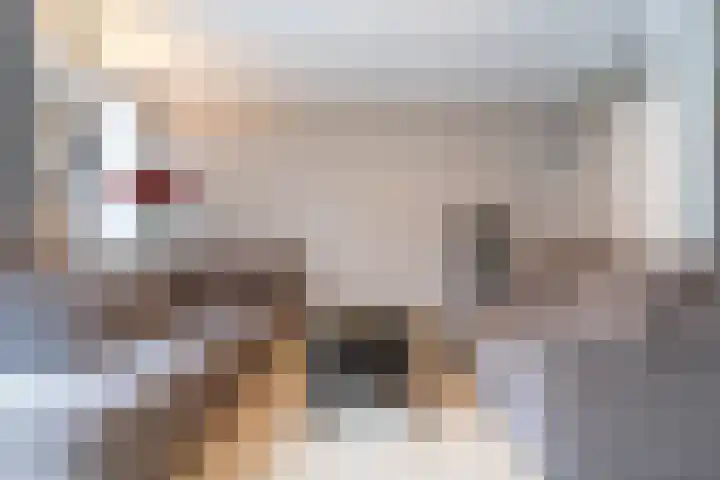 Mr.Pieter Cornelisz. Vermaatlaan 12 Poortugaal thumbnail 25