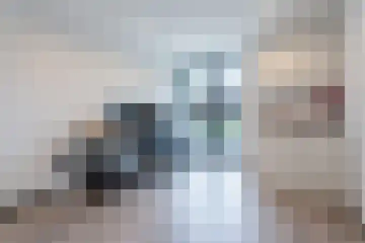 Mr.Pieter Cornelisz. Vermaatlaan 12 Poortugaal thumbnail 26