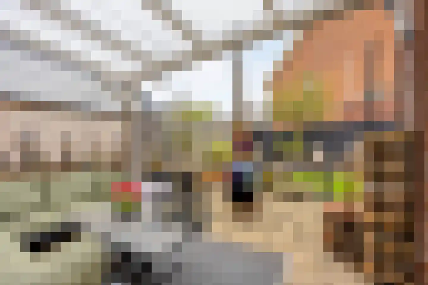 Mr.Pieter Cornelisz. Vermaatlaan 28 Poortugaal thumbnail 34