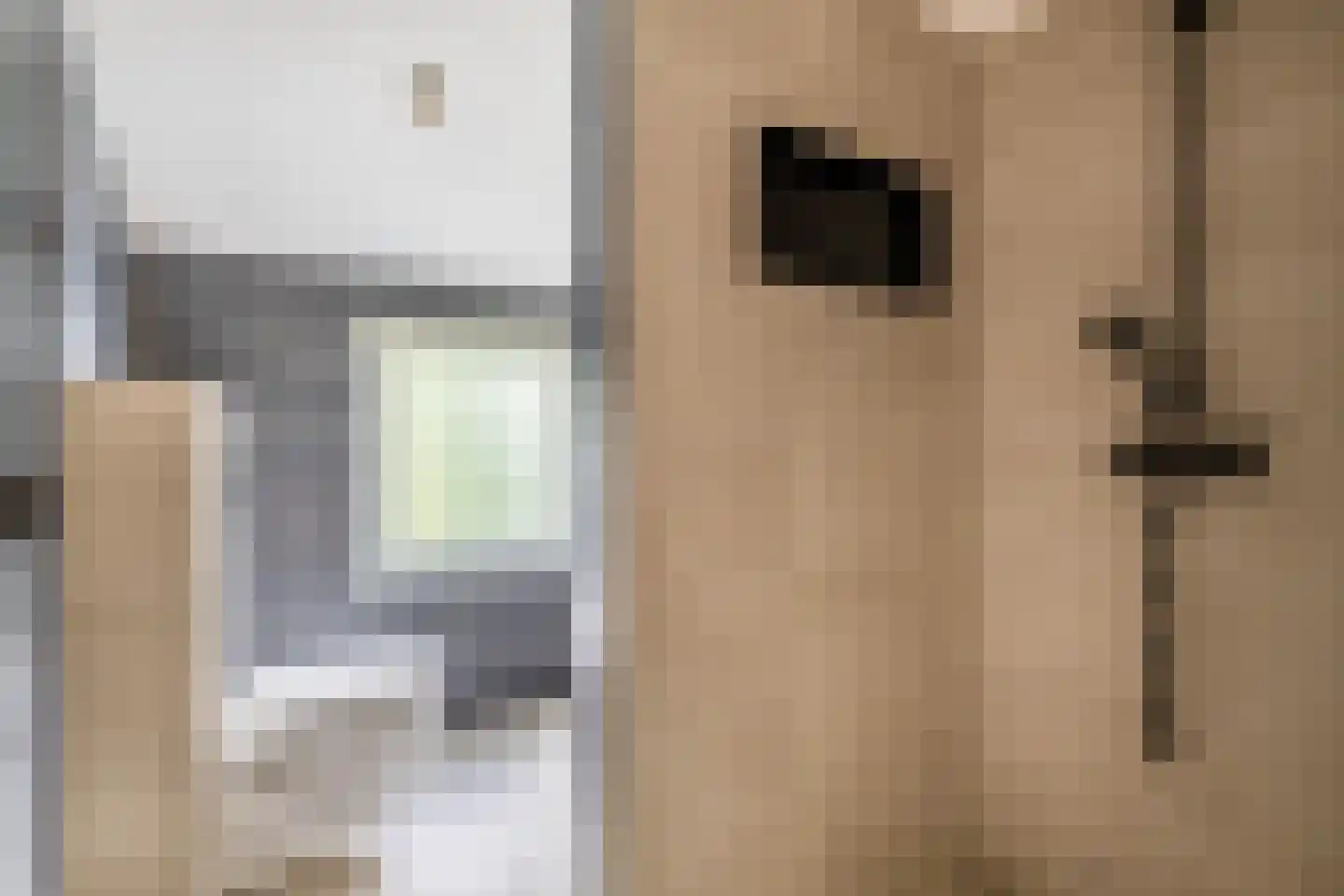 Mr. Pieter Moggestraat 41 Dreischor thumbnail 17