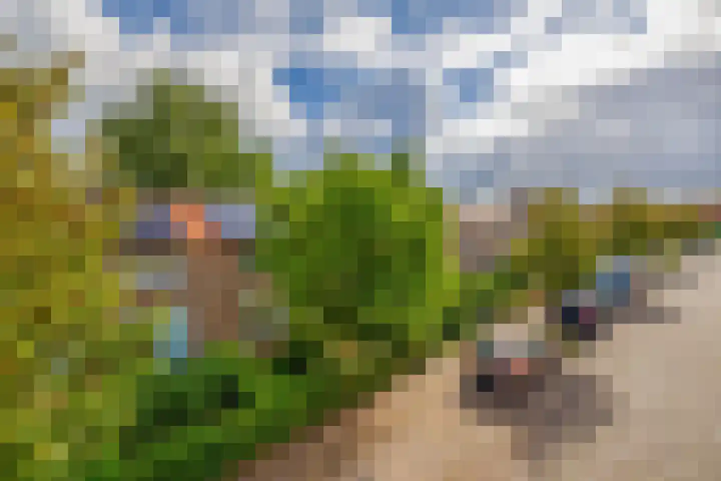 Mr. Pieter Moggestraat 41 Dreischor thumbnail 30