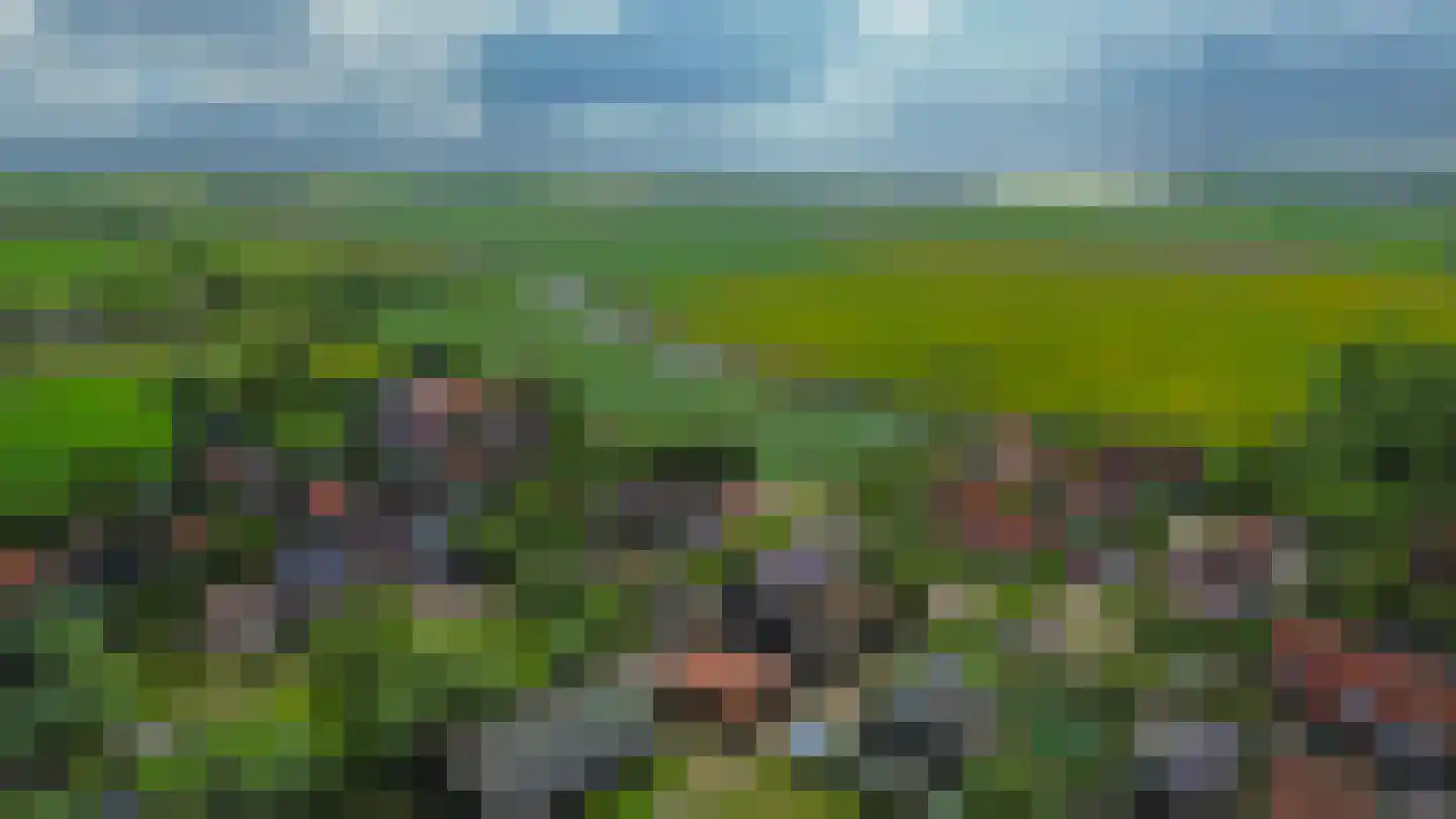 Mr. Pieter Moggestraat 41 Dreischor thumbnail 36