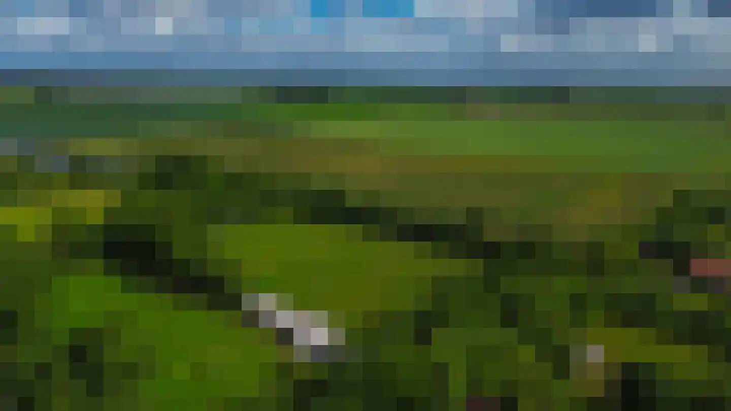Mr. Pieter Moggestraat 41 Dreischor thumbnail 37