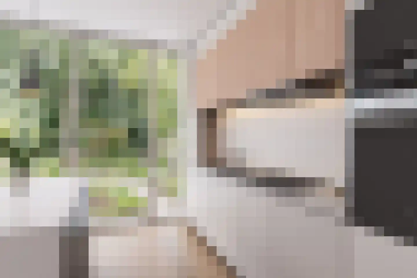 Mr. Pieter Moggestraat 41 Dreischor thumbnail 38