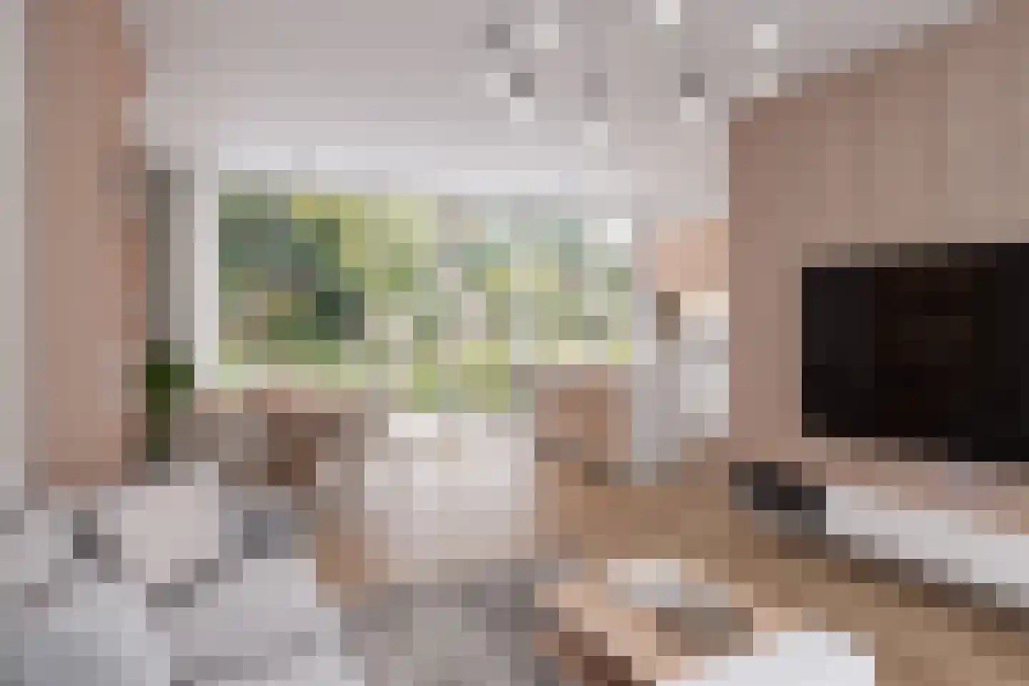 Mr. Pieter Moggestraat 41 Dreischor thumbnail 39