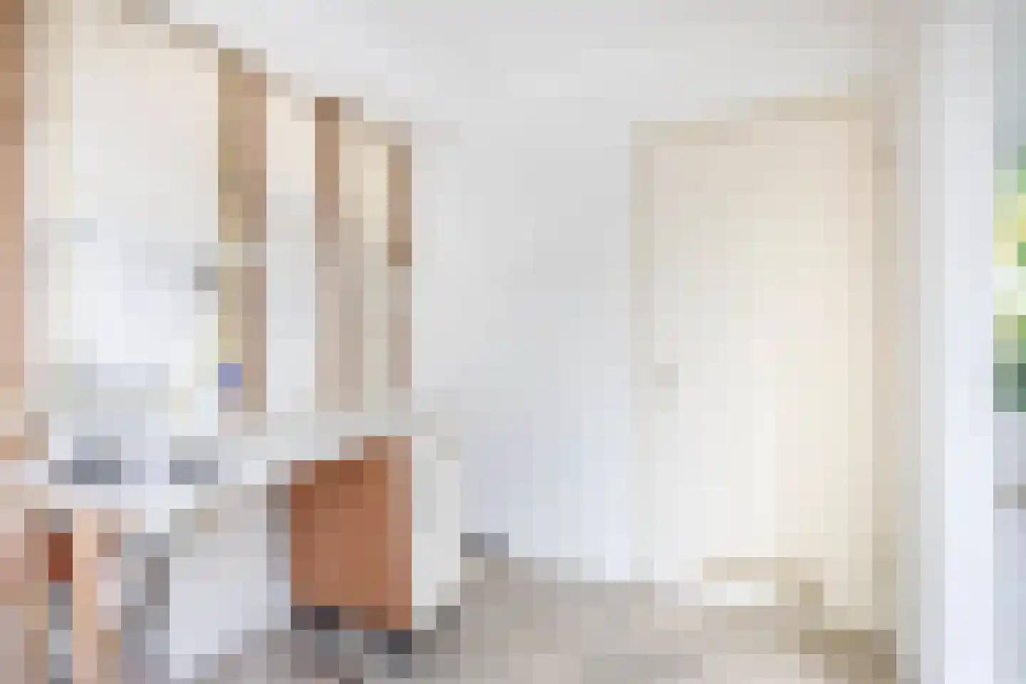 Mr. Pieter Moggestraat 41 Dreischor thumbnail 7