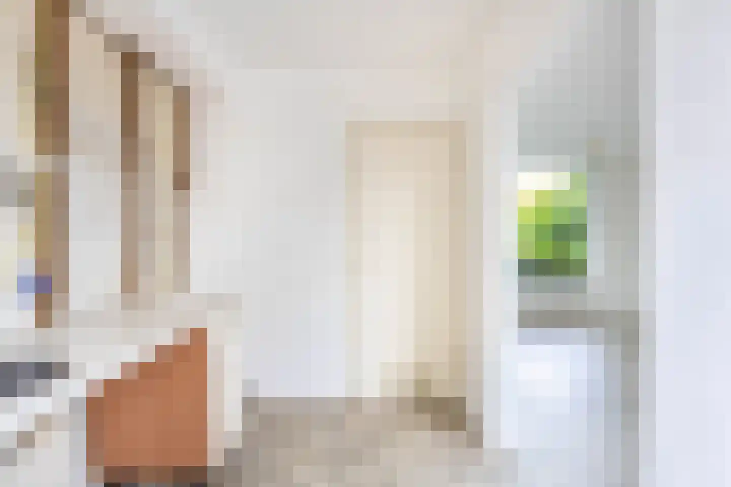 Mr. Pieter Moggestraat 41 Dreischor thumbnail 8