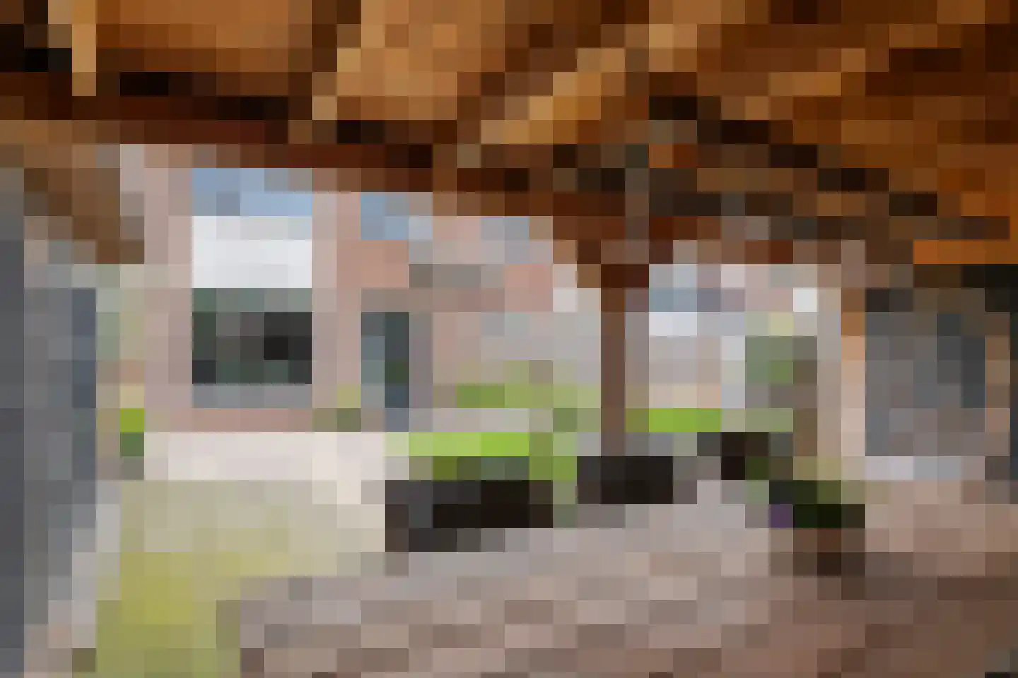 Mr. R.J. van Beekhoffstraat 2 Kerk-Avezaath thumbnail 22