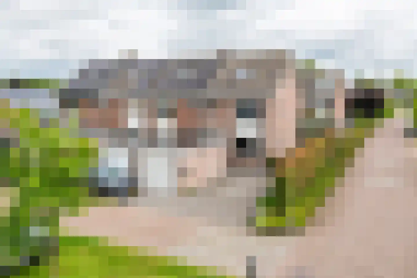 Mr. R.J. van Beekhoffstraat 2 Kerk-Avezaath thumbnail 5
