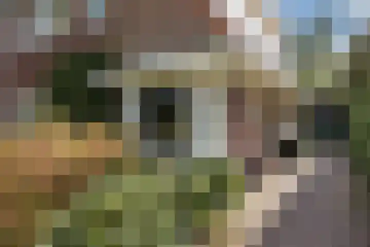 Mr Racerstraat 7 Delden thumbnail 10