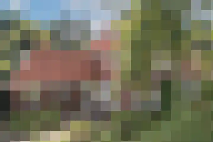 Mr Racerstraat 7 Delden thumbnail 11