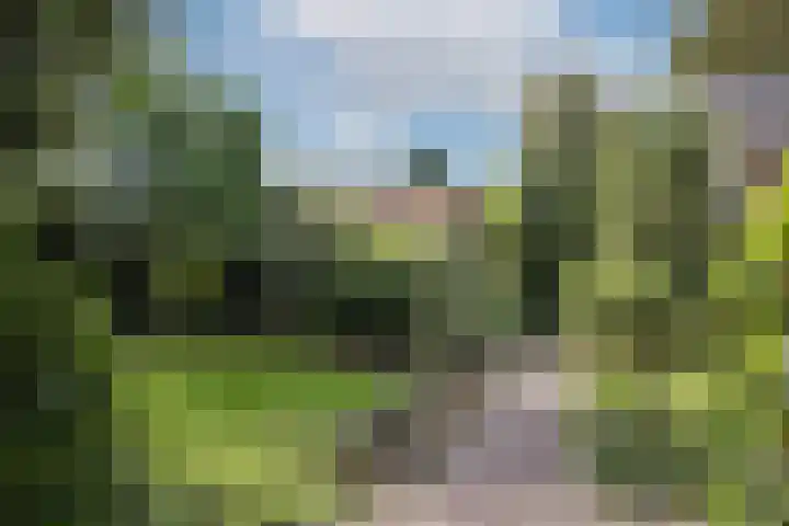 Mr Racerstraat 7 Delden thumbnail 47