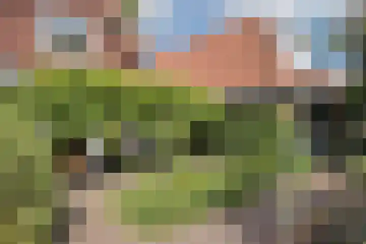 Mr Racerstraat 7 Delden thumbnail 49